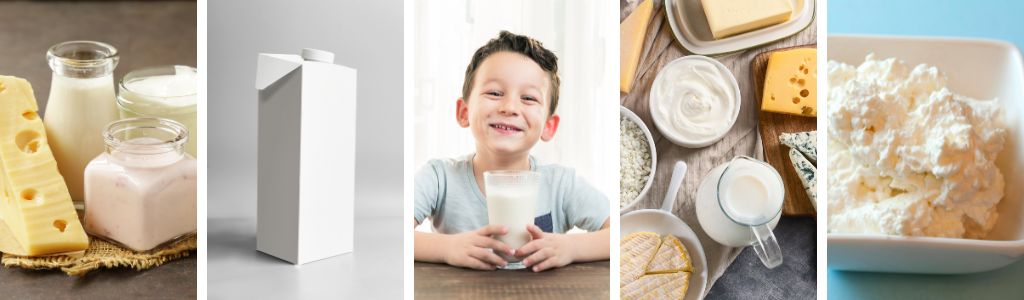 Materia prima e ingredientes para productos lacteos